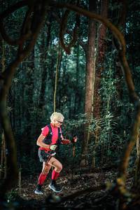 BIB: 
                            <button type="button" onclick="openModal(25238959)" class="btn btn-primary btn-sm float-right btn-popup" data-toggle="modal" data-target=".modal-high-quality">
                        <i class="fas fa-shopping-cart"></i> Add to Cart
                    </button>
                                            <button type="button" onclick="isThisMe(25238959, true)" class="btn btn-success btn-sm float-right btn-popup btn-isme hidden" data-toggle="tooltip" data-placement="bottom" title="นี่คือรูปของคุณใช่ไหม คลิกที่นี่เพื่อเอาเข้าอัลบั้ม">
                        <i class="fas fa-plus"></i> Add to album
                    </button>
                    <button type="button" onclick="isThisMe(25238959, false)" class="btn btn-warning btn-sm float-right btn-popup btn-isnotme hidden">
                        <i class="fas fa-ban"></i> Remove from album
                    </button>